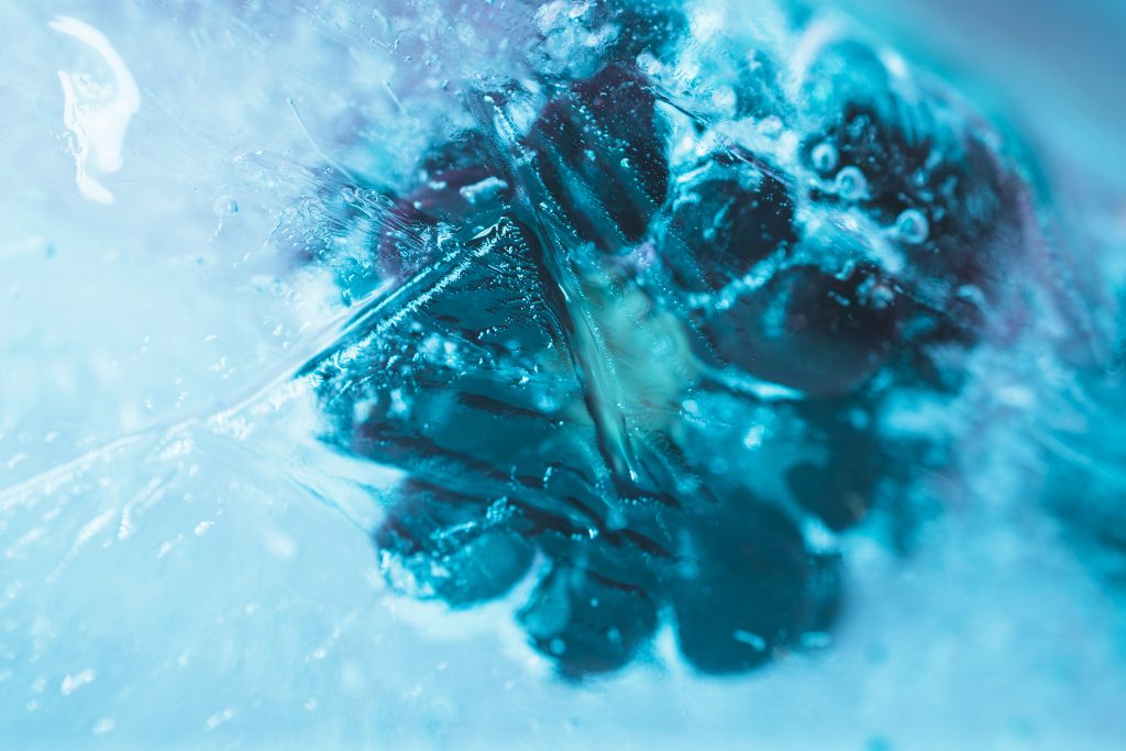 Das Bild zeigt eine gefrorene Brombeere im Waser, das aussieht wie ein Wasserkristall.