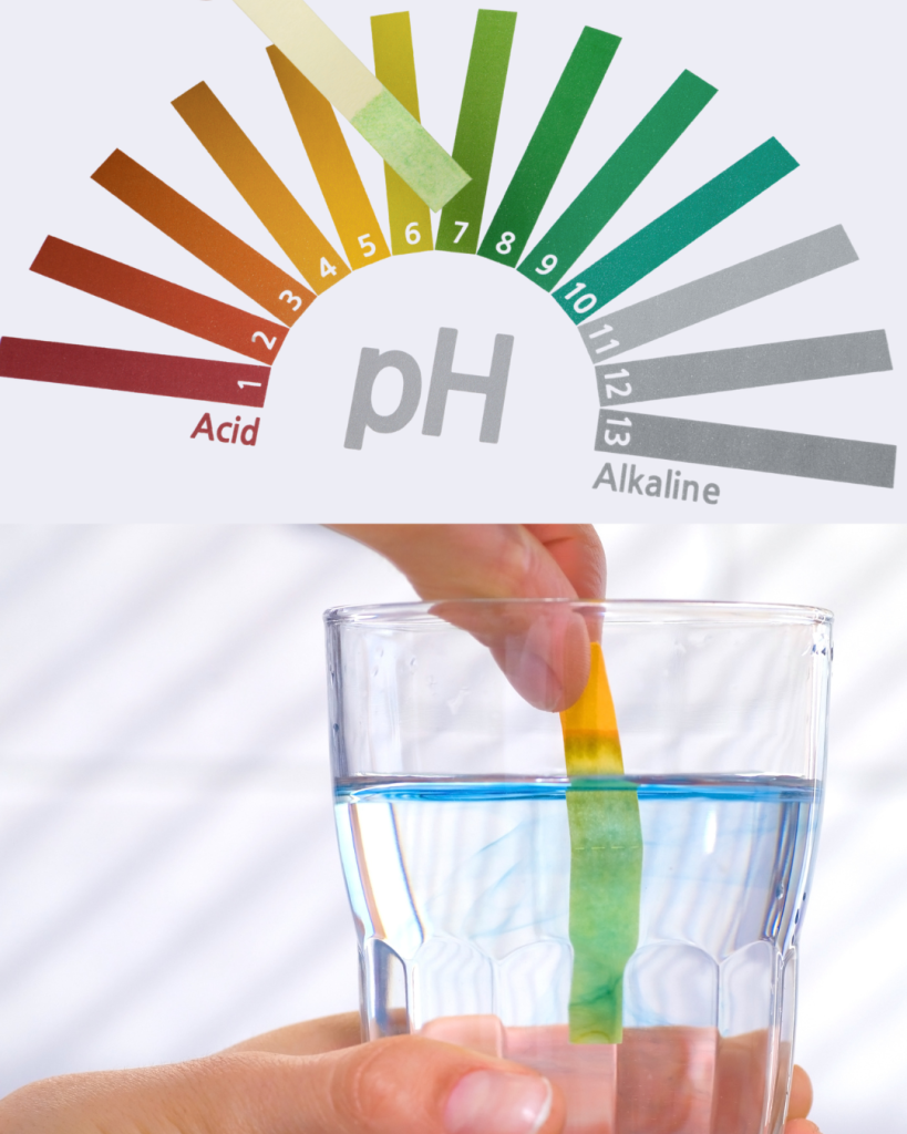 Das Bild zeigt eine Ph Wert Scala und darunter ein Wasserglas in das ein Lakmusstreifen gehalten wird.