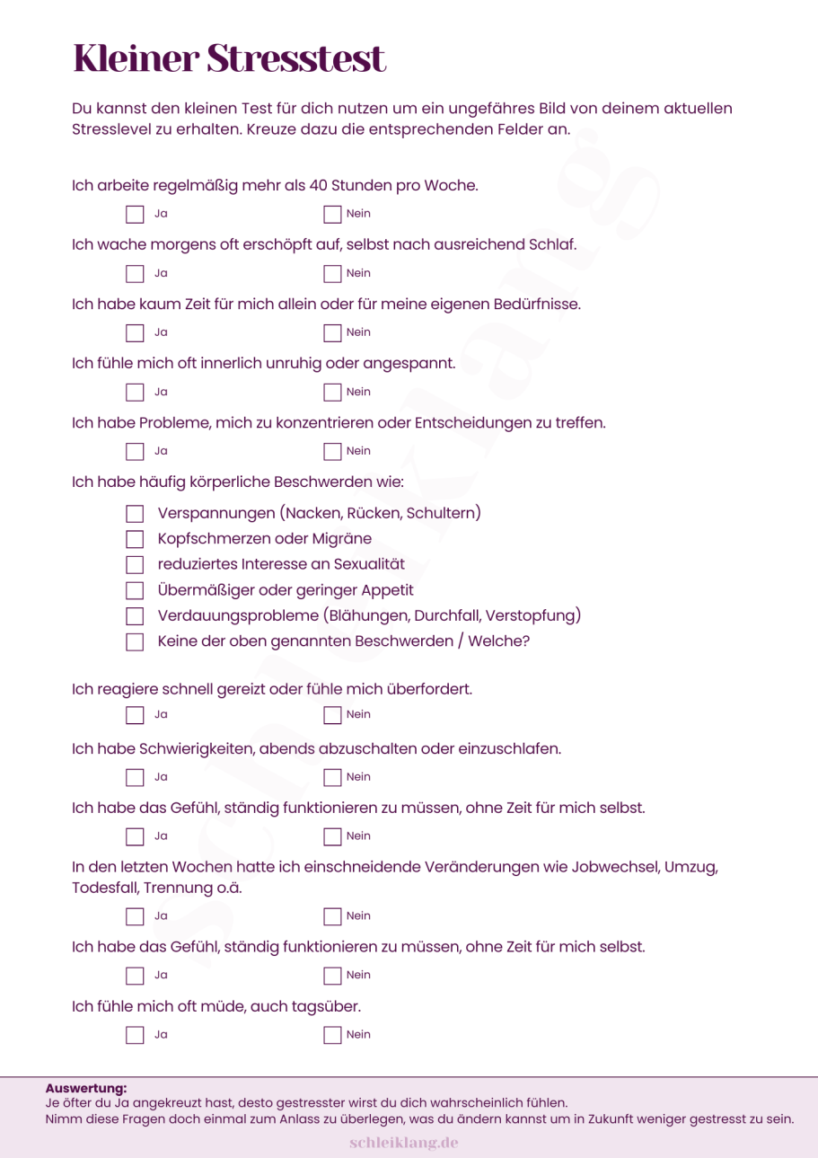 Fragebogen zu Stressbewältigung mit Kästchen zum Ankreuzen und erklärendem Text.