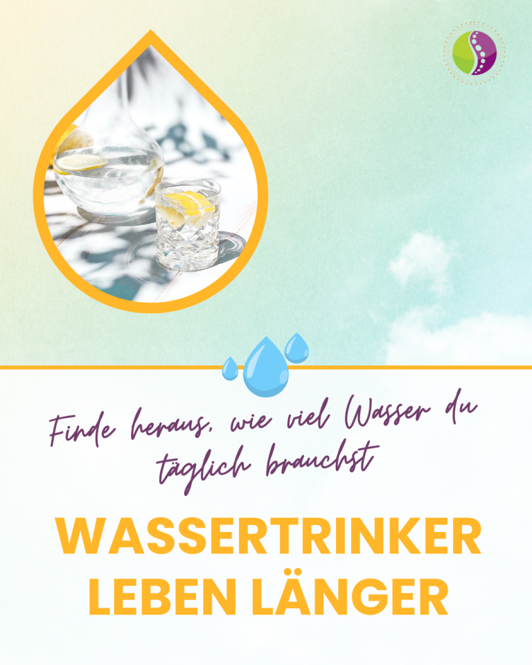 Fragebogen zu Stressbewältigung mit Kästchen zum Ankreuzen und erklärendem Text.