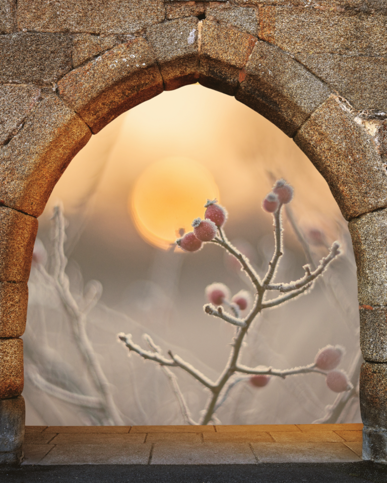 Durch einen Steintor scheinen Sonnenstrahlen auf einen Zweig mit Knospen. Symbolisch für den Neuanfang